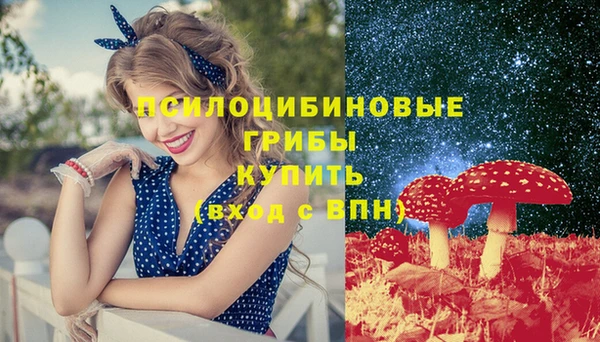 ПСИЛОЦИБИНОВЫЕ ГРИБЫ Балахна