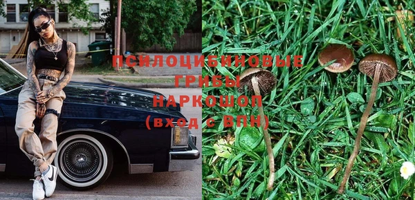 ПСИЛОЦИБИНОВЫЕ ГРИБЫ Балахна