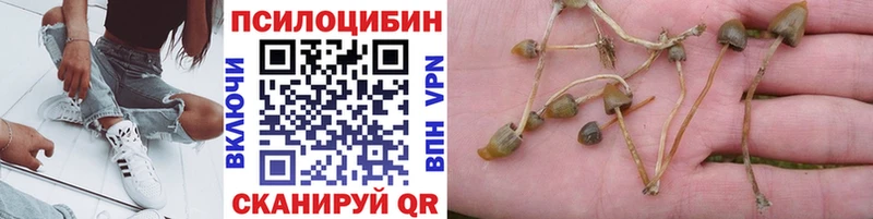 гидра сайт  Бобров  Галлюциногенные грибы GOLDEN TEACHER  как найти  